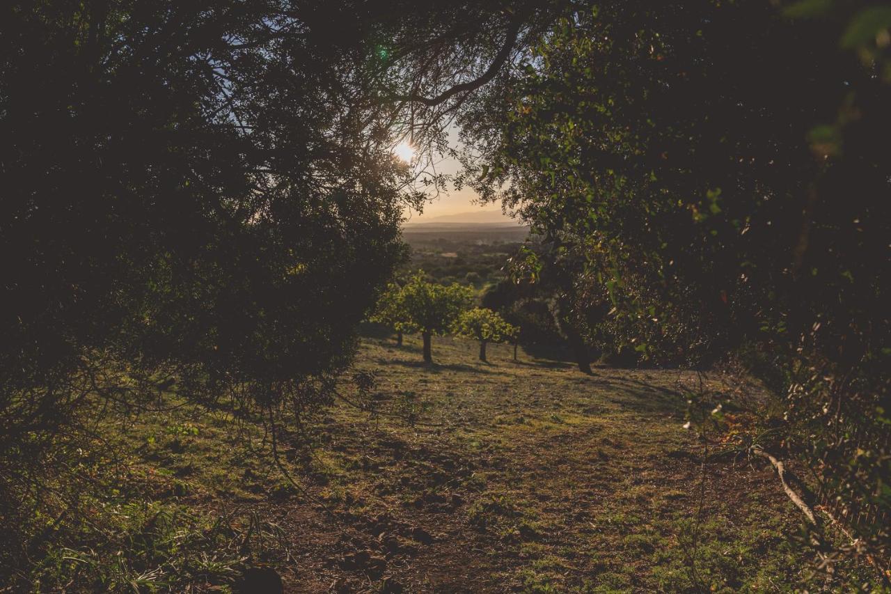 Son Mesquida Vell Otel Manacor  Dış mekan fotoğraf